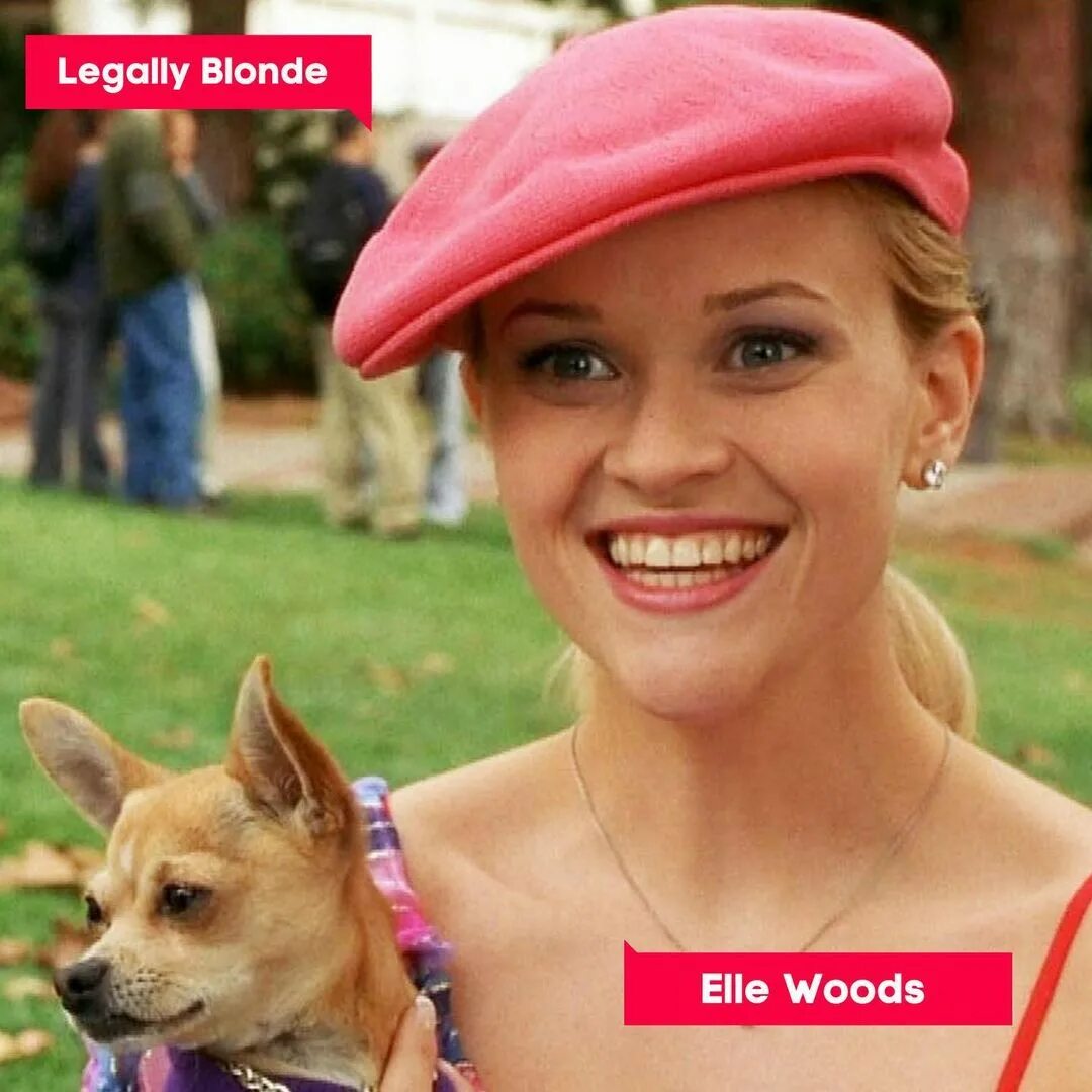 legallyblonde stripchat