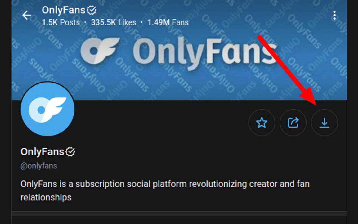 Best Onlyfans Downloader Chrome